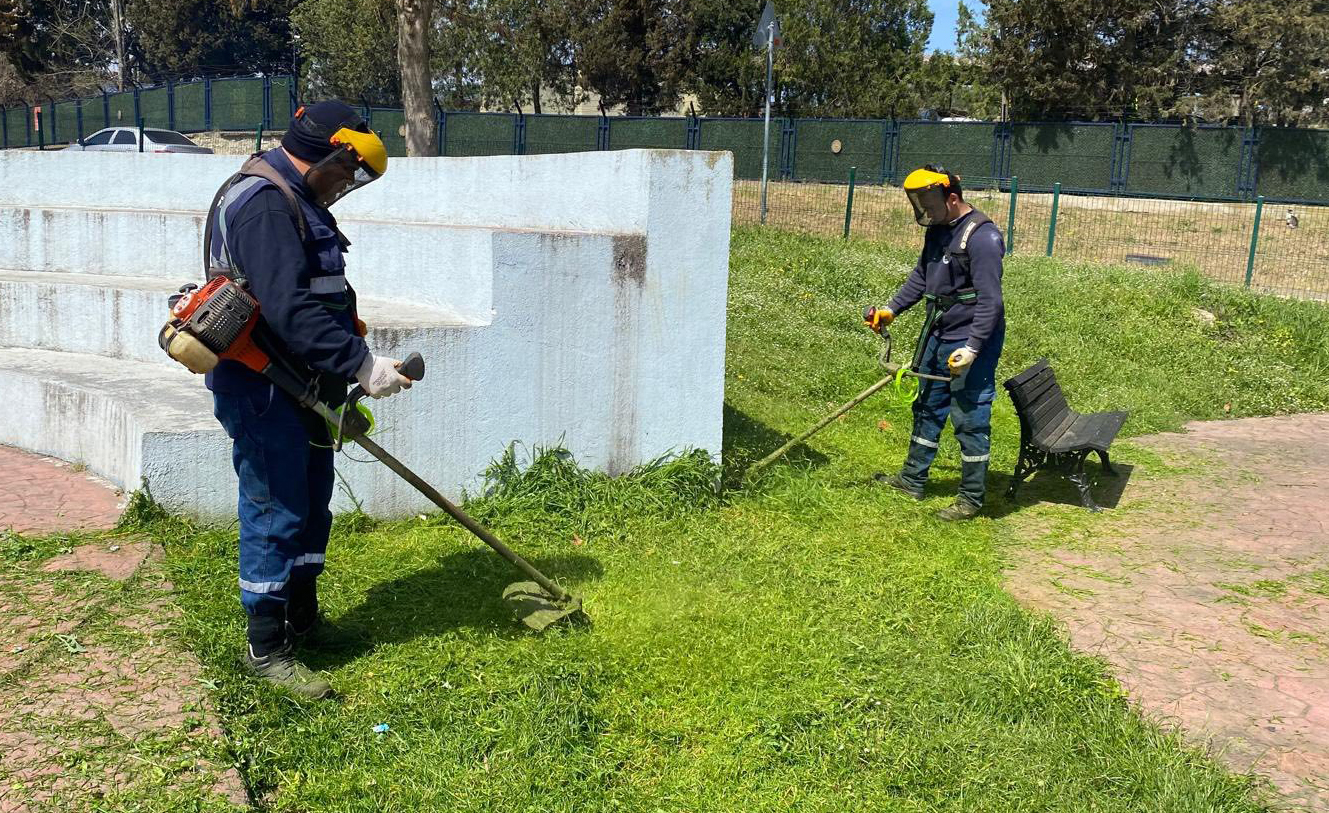 Kandıra Belediyesi ekipleri, ilçe genelinde ot biçme ve ilaçlama çalışmalarına