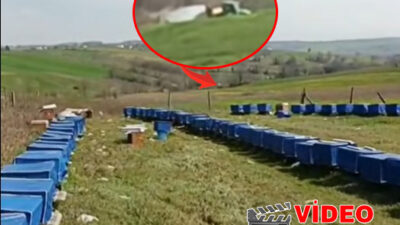 Kandıra’da arıcılık yapan vatandaşlar, tarım alanlarında yapılan bilinçsiz ilaçlamalar nedeniyle