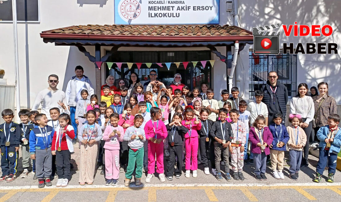 Kandıra Gençlik ve Spor İlçe Müdürlüğü, 8 Nisan Dünya Romanlar