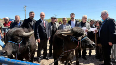 Kocaeli Büyükşehir Belediyesi, "Halk Elinde Anadolu Mandasının Islahı Projesi" kapsamında