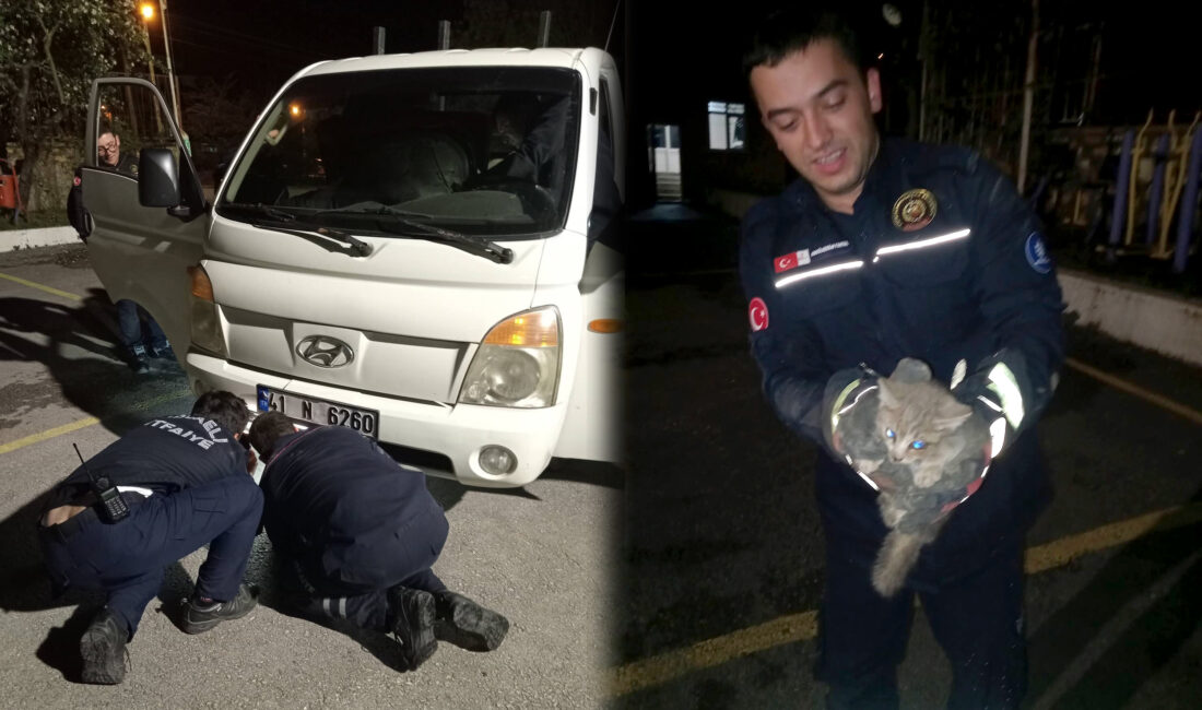 Kandıra sanayi esnaflarından Dursun Yılmaz’ın aracının motor kısmından kedi sesi
