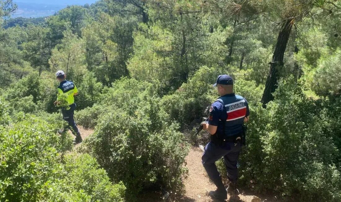 Kocaeli’de artan orman yangını riskine karşı 15 Mayıs - 1