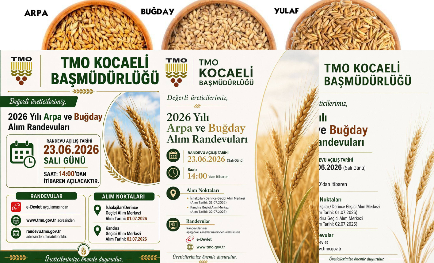 Kandıra’da yıllardır beklenen gelişme gerçekleşti. Toprak Mahsulleri Ofisi (TMO), ilçede