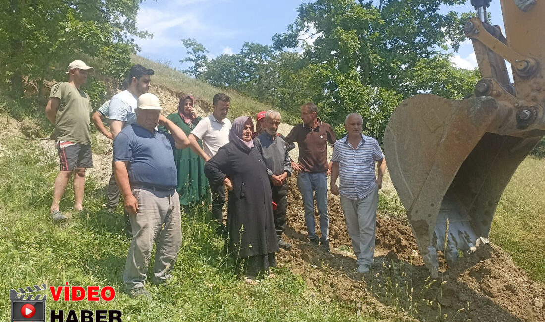 Sakarya Kaynarca ile Kandıra sınırında yapılması planlanan köpek barınağı projesi,