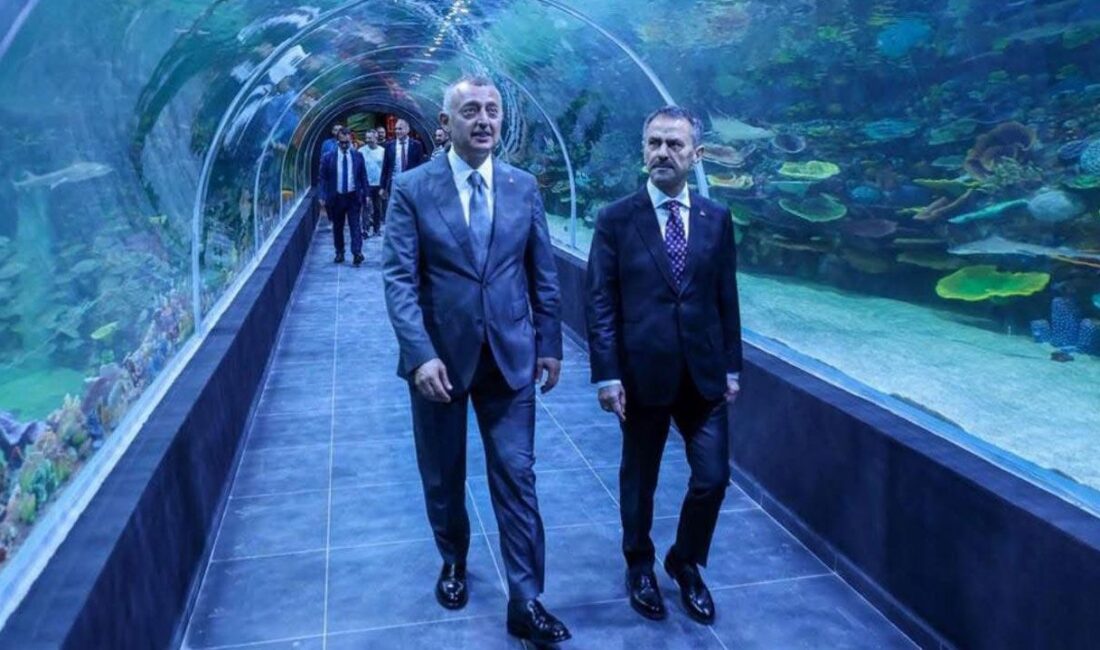 Kocaeli Büyükşehir Belediyesi tarafından İzmit Millet Bahçesi’nde hayata geçirilen Körfez