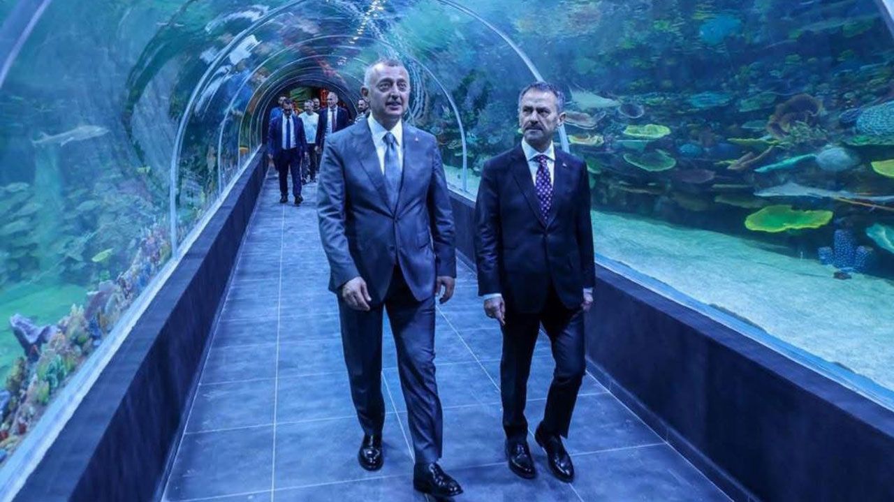 Kocaeli Büyükşehir Belediyesi tarafından İzmit Millet Bahçesi’nde hayata geçirilen Körfez