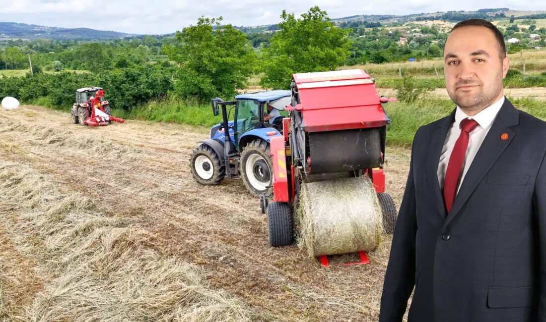 Kocaeli Büyükşehir Belediyesi’nin yüzde 75 hibeli yem bitkisi tohumu desteğiyle