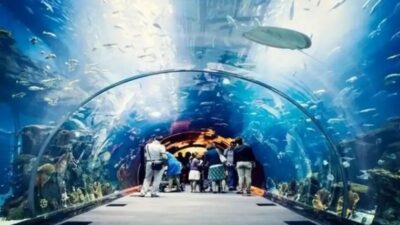Kocaeli Büyükşehir Belediyesi tarafından hayata geçirilen Körfez Aqua Kıtalar Akvaryumu,
