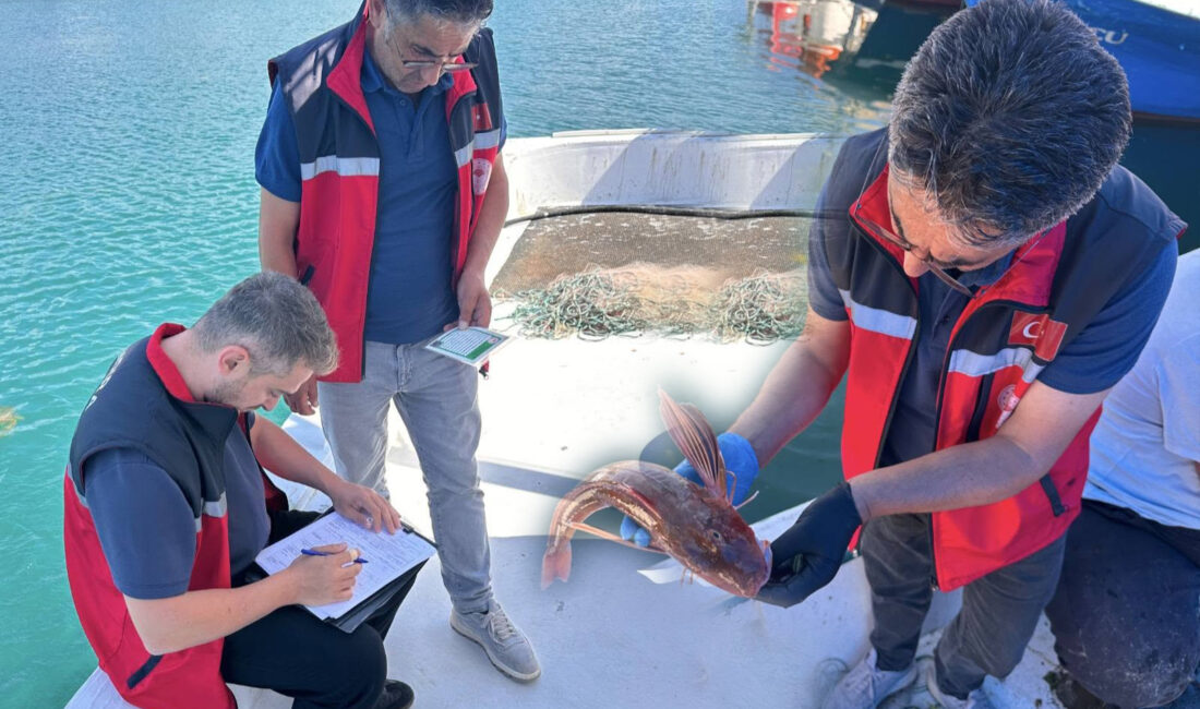 Kandıra’da su ürünleri denetimleri kapsamında balıkçı gemileri, av araçları ve