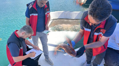 Kandıra’da su ürünleri denetimleri kapsamında balıkçı gemileri, av araçları ve