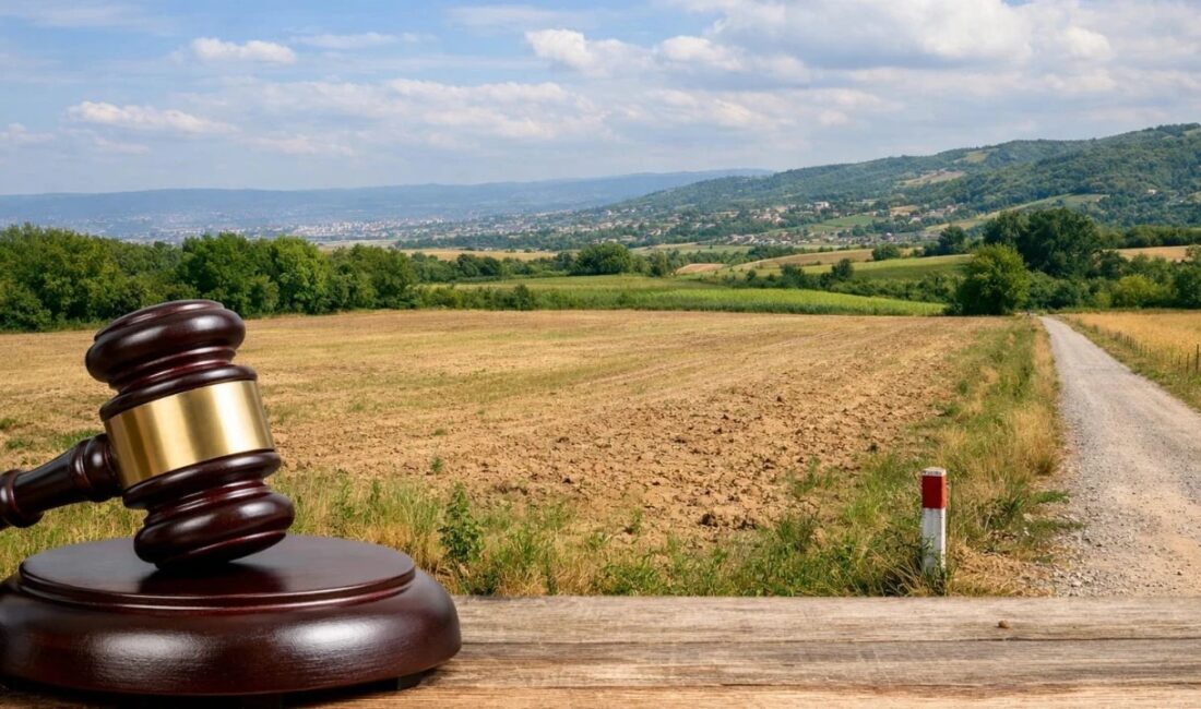 Kandıra'nın Karaağaç Mahallesi'nde bulunan yaklaşık 21 bin metrekarelik taşınmaz, icra