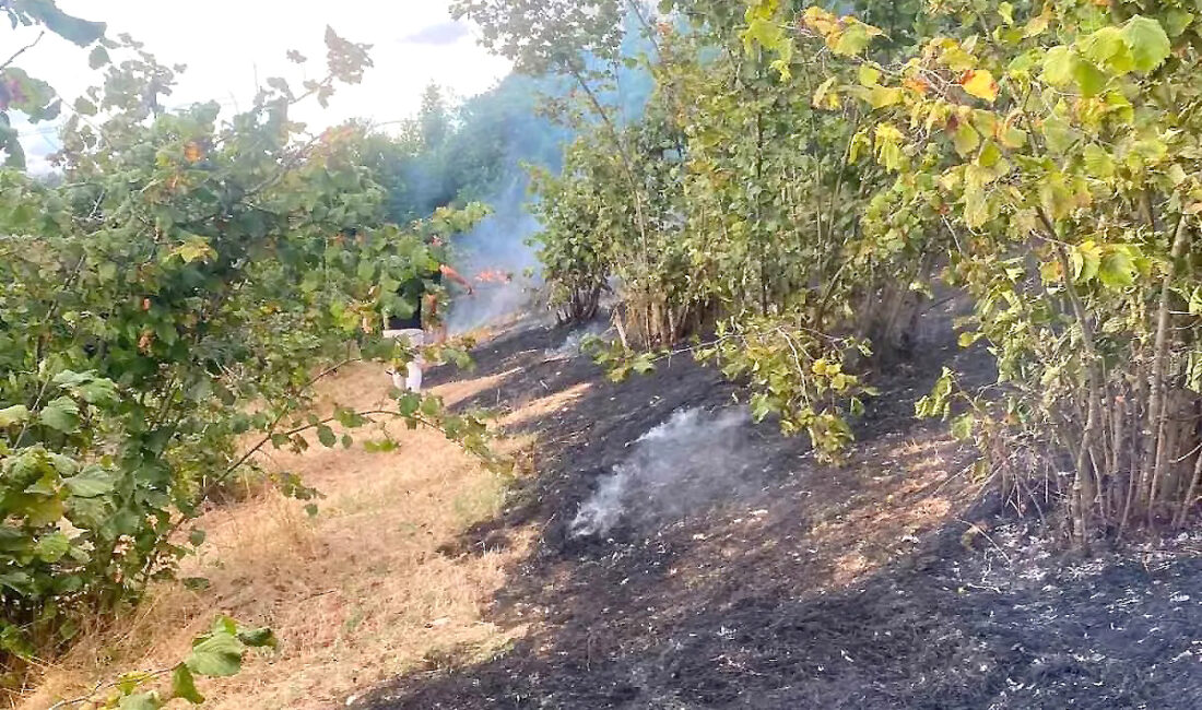 Kandıra Ağaçağıl Dereli Köyü’nde fındıklık alanda çıkan yangın korku dolu