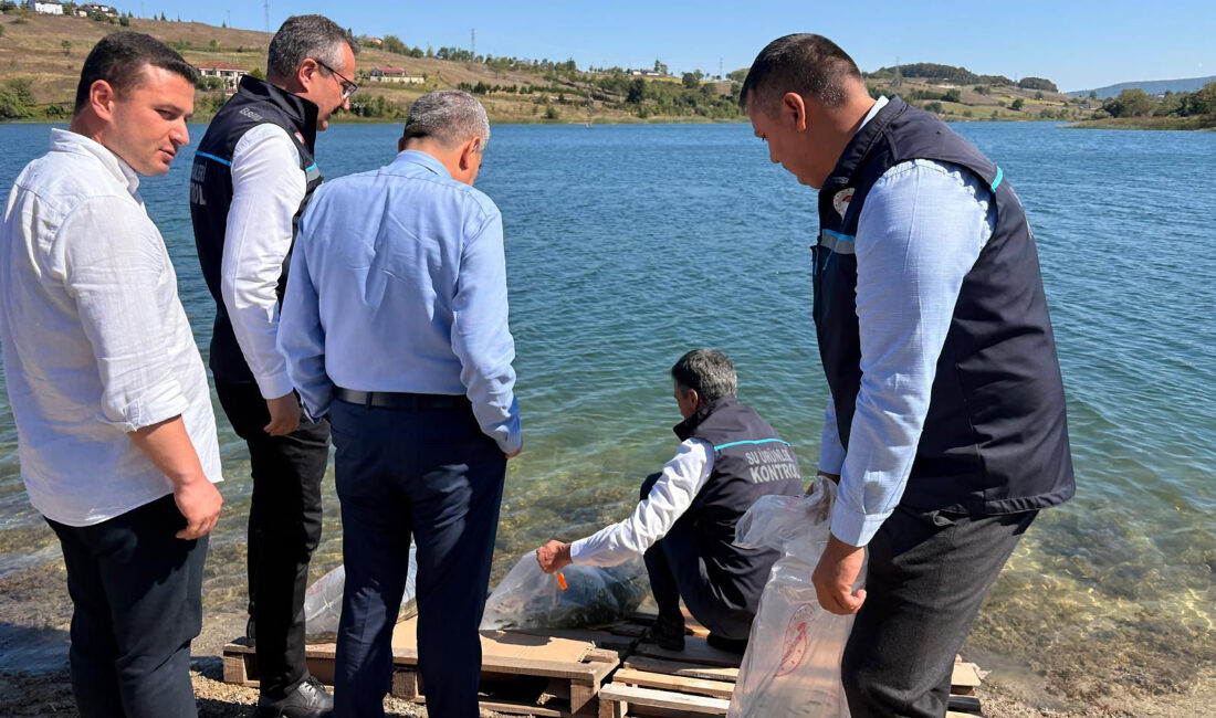 Kocaeli genelindeki 13 gölete 630 bin yavru sazan balığı bırakılırken,
