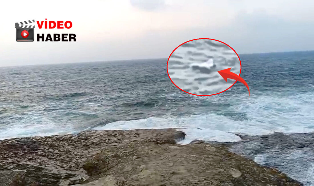 Kandıra Kefken Pembe Kayalıklar’da kıyıya yakın bölgeye düşen İHA benzeri