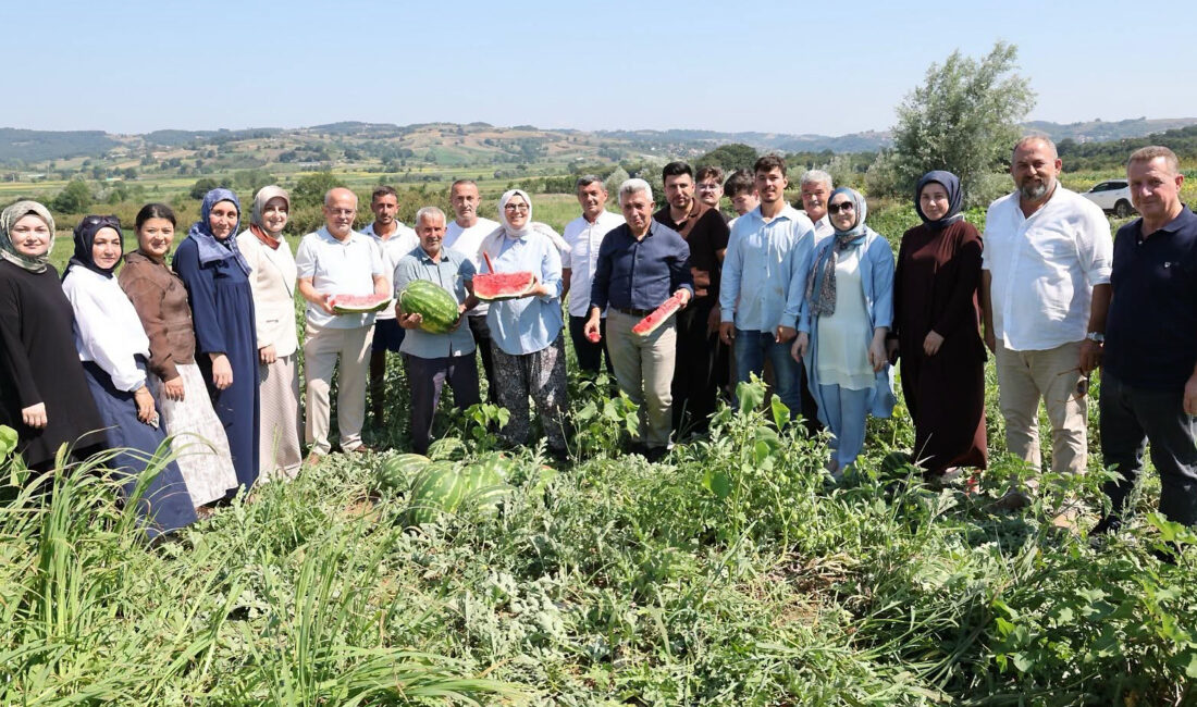 AK Parti Kocaeli Milletvekili Radiye Sezer Katırcıoğlu, Sertan Kulaç ve