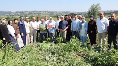 AK Parti Kocaeli Milletvekili Radiye Sezer Katırcıoğlu, Sertan Kulaç ve