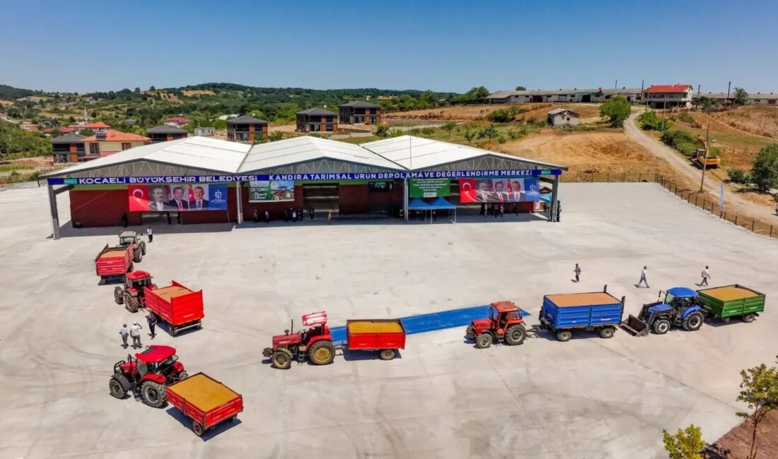 Kandıra Tarımsal Ürün Depolama ve Değerlendirme Merkezi’nde TMO tarafından alınan