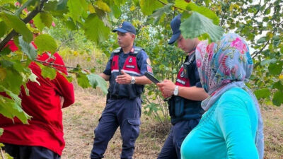 Kandıra’da fındık hasadının yoğunlaşmasıyla birlikte üreticilerin emeğini korumak için jandarma