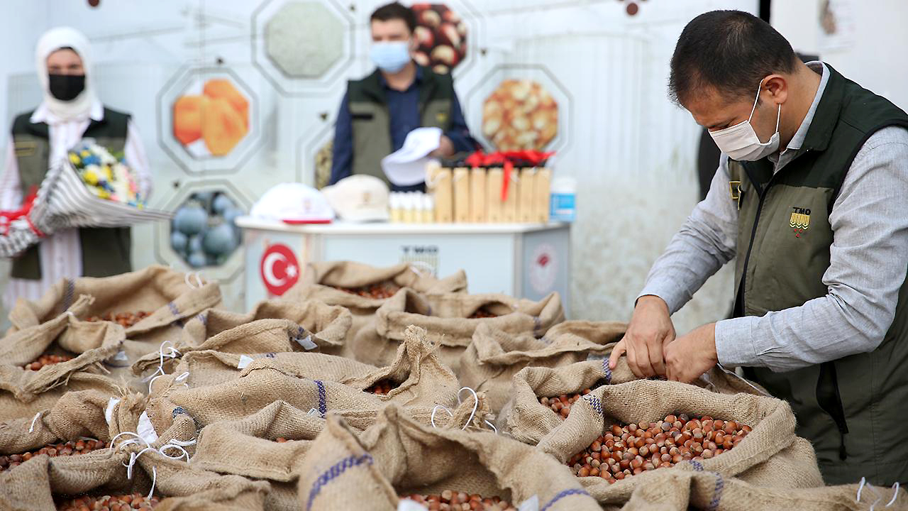 Kandıra Ziraat Odası, TMO’nun 2026 yılı fındık alımlarının 24 Ağustos’ta