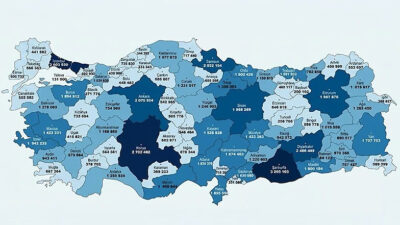TÜİK verileri üzerinden hazırlanan simülasyona göre herkes nüfus kütüğüne kayıtlı