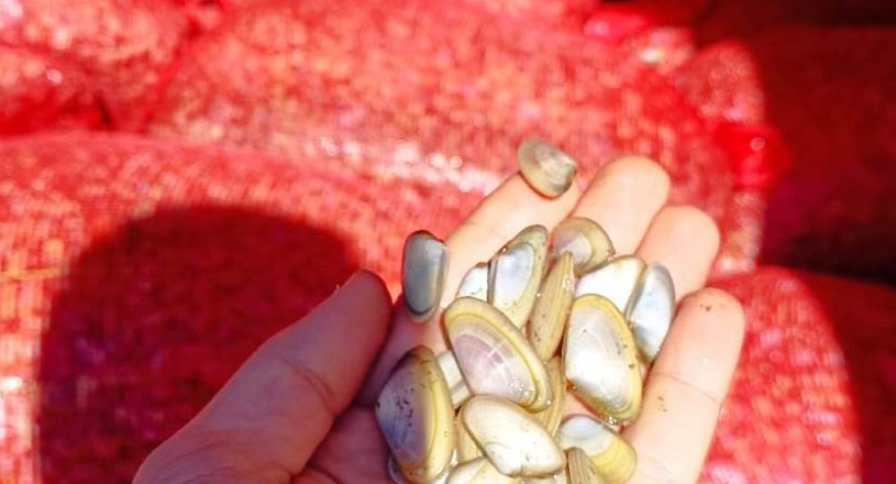 Kandıra Kefken Adası Feneri ile Bartın Kurucaşile Tosun Burnu arasındaki