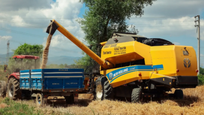 Kocaeli Büyükşehir Belediyesi, Kandıra’daki çiftçilere arpa, süt otu ve yem
