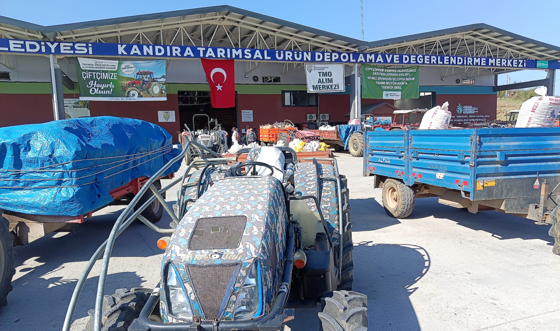 Kandıra’da 24 Ağustos’ta başlayan TMO fındık alımlarında yaklaşık 2 bin