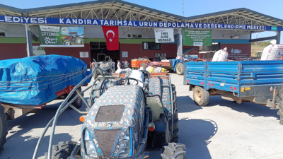 Kandıra’da 24 Ağustos’ta başlayan TMO fındık alımlarında yaklaşık 2 bin